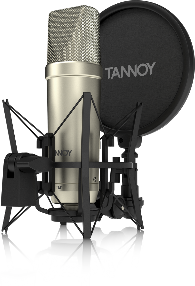 Tannoy TM1 - Recording Package with Large Diaphragm Condenser Microphone - DEMO